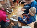IMG20241105113457