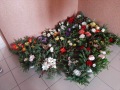 image0