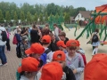 IMG_20240606_134816