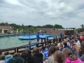 IMG_20240606_140423